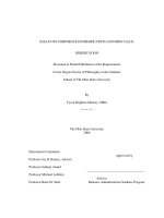 essays on corporate diversification and firm value