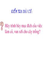 Thu hoạch bảo quản và chế biến nông sản