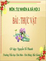 Thuc vat - Lop 3