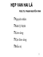 Hẹp Van Hai lá Phạm Nguyễn Vinh