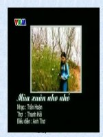 Ôn tập về thơ Việt Nam hiện đại