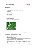 BÁO CÁO CÔNG NGHỆ LÊN MEN METHIONINE