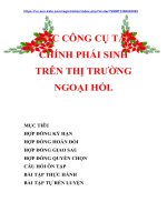 Nghiệp vụ kinh doanh ngân hàng TAIFT: CÁC CÔNG CỤ TÀI CHÍNH PHÁT SINH