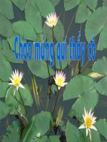 Thiết bị đóng cắt và lấy điện 2011