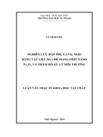 Nghiên cứu khả năng hấp phụ Cr (VI), Ni (II) bằng vật liệu bã chè mang oxit nano Fe3O4 và thăm dò xử lý môi trường