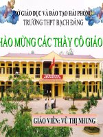 nhat ban bai chuan moi sua