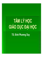 Tâm lý học giáo dục đại học