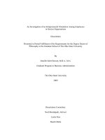 an investigation of an intrapreneurial orientation among employees in service organizations