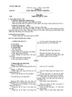 Giao an lop 2 tuan 29