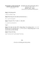 Đề thi HSG toán 10 Thạch Thất - 2