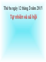 an uong day du lop 2