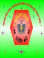 Kính trọng và biết ơn người lao động Tiết 1