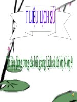 Tư liệu dùng trong các bài giảng Lịch sử THCS