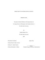 three essays in international finance