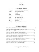 xây dựng chiến lược marketing cho công ty cổ phần mai linh miền bắc