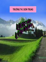 Bài 19: Chiến thắng Ls Điện Biên Phủ