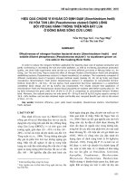 Báo cáo khoa học đề tài Hiệu quả chủng vi khuẩn cố định đạm và hòa tan lân dạng lỏng đối với đậu nành trồng trên đất lúa ở đồng bằng Sông Cửu Long