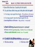 Bài 45. Sự phát sinh loài người_Sinh 12 NC