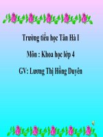 khoa hoc lop 4 tuan 20