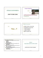 GIỚI THIỆU CHUNG VỀ KINH TẾ CÔNG CỘNG