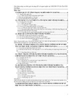 iải pháp nâng cao hiệu quả tín dụng đối với người nghèo tại nhcsxh tp.cần thơ pgd cái răng (2009-2011)