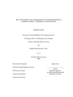 the antecedents and consequences of shared business-it understanding- an impirical investigation