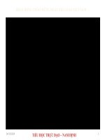 HOẠT ĐỘNG CHÀO MỪNG NGÀY NHÀ GIÁO VIỆT NAM