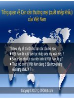 CÁN CÂN THƯƠNG MẠI ĐẦY ĐỦ