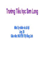 Bài 19 Đường giao thông