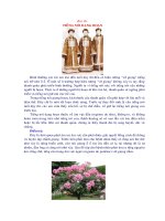 bài 16 tiếng nói dạng hoạn