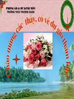 TiÕt 39 - Các loại quả