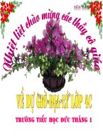 Dia Li 4 - TP Da Nang