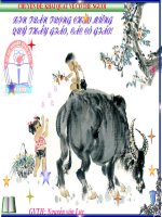 Khai quat co the nguoi