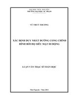 Xác định duy nhất đường cong chỉnh hình bởi họ siêu mặt di động
