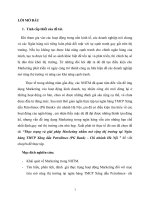 thực trạng và giải pháp marketing nhằm mở rộng thị trường tại ngân hàng tmcp xăng dầu petrolimex (pg bank) – chi nhánh hà nội