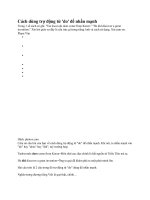 CÁCH DÙNG TRỢ ĐỘNG TỪ