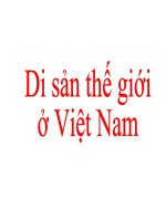 Di sản thế giới ở Việt Nam