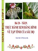 tiết 29 TH Xem bang hinh cua sau bo