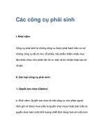 Các công cụ phái sinh