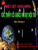 Bai 53 Tac dong cua con nguoi doi voi moi truong - THI CNTT