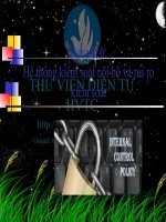 Hệ thống kiểm soát nội bộ và rủi ro kiểm soát