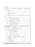 Thực trạng kế toán tiêu thụ và xác định kết quả kinh doanh của công ty TNHH DV và TM Trường Hiếu