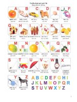 Từ điển hình ảnh Tiếnh Anh cực hay