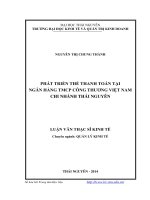 Phát triển thẻ thanh toán tại Ngân hàng Thương mại Cổ phần Công thương Việt Nam chi nhánh Thái Nguyên