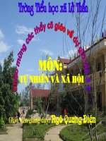 TNXh lop 3 bai ve sinh he than kinh