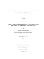 the moderator effect of organizational identification on the relationship between work context and workforce engagement burnout