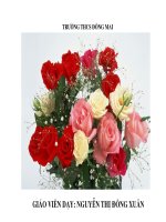 Tiết 19- bài 16. Hoạt dộng của Nguyễn Ái Quốc ở nước ngoài từ năm 1919- 1925