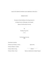 essays on growth options and corporate strategy