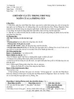 ngữ văn 8 tuần 23 mới