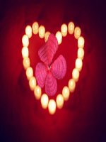 Bài 19. Tạo giống bằng công nghệ gene